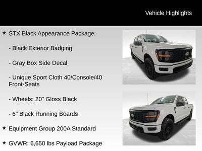 2024 Ford F-150 STX